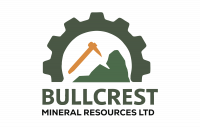 logo (1) bull